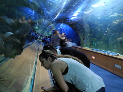 Valencia Aquarium
